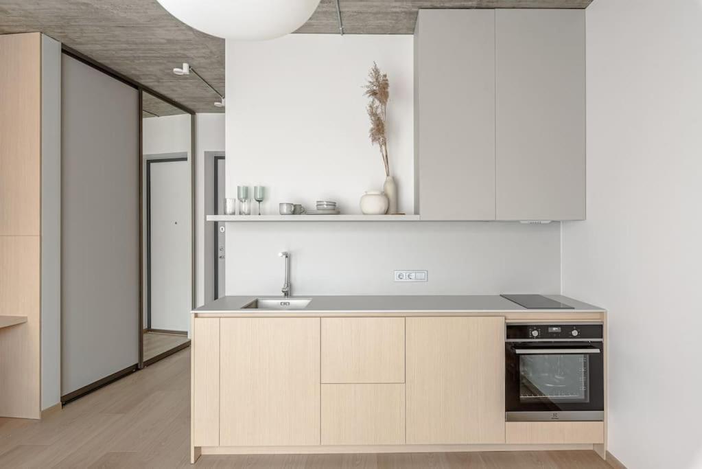 Апартаменты Cozy Japanese Oasis With Balcony, Gramophone, Netflix Вильнюс Экстерьер фото